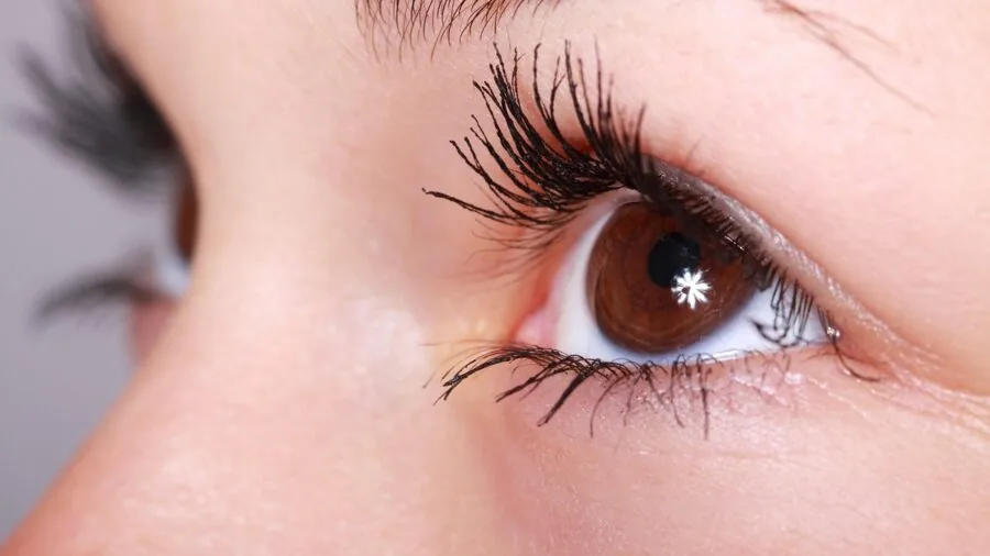 Close-up of woman applying mascara with fluffy brush to eyelashes for volume and definition
