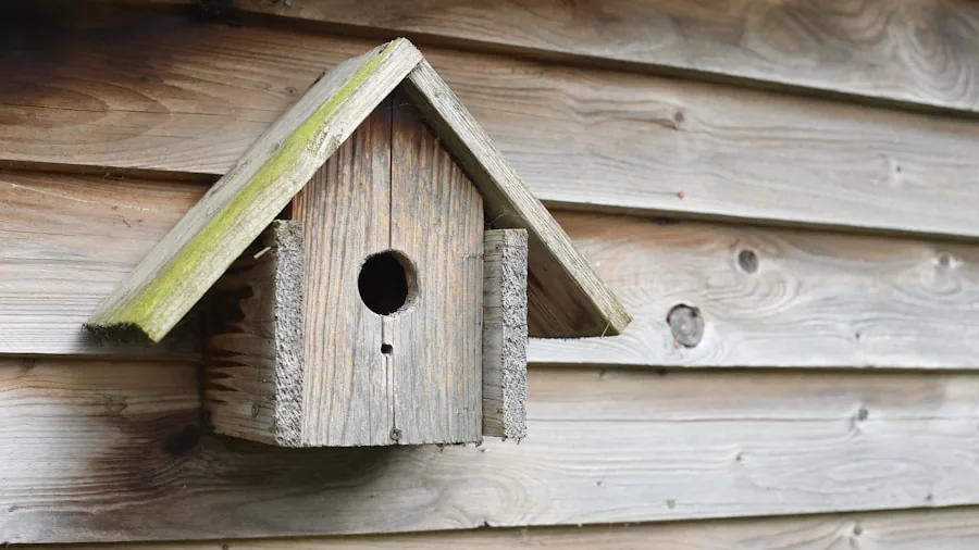 Close-up of wooden birdhouse mounted on tree showing drainage and ventilation features in natural garden setting