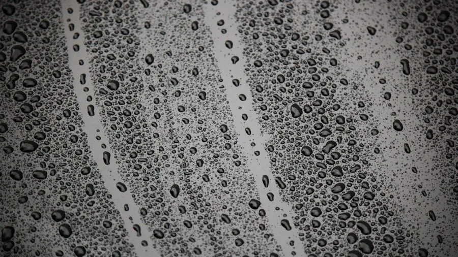 Close-up view of a nonstick cooking surface showing the texture and coating detail of a frying pan