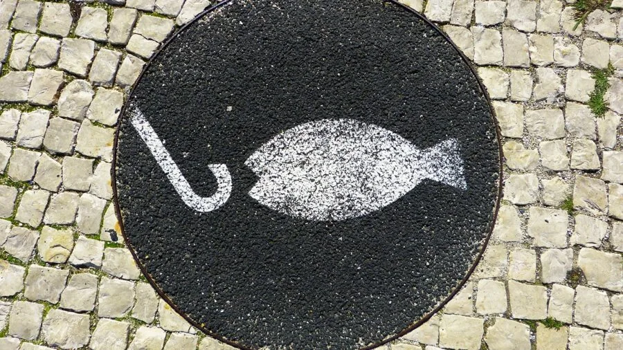 Close-up view of fishing hooks showing different styles and anatomical parts for selection