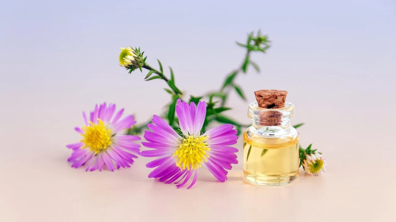 Body Oils Worth Buying for Every Skin Type and Budget