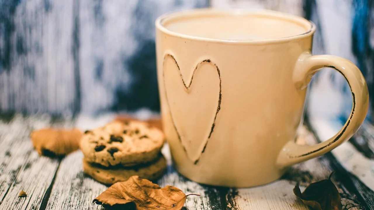 The Best Camping Mugs for Every Campsite and Budget