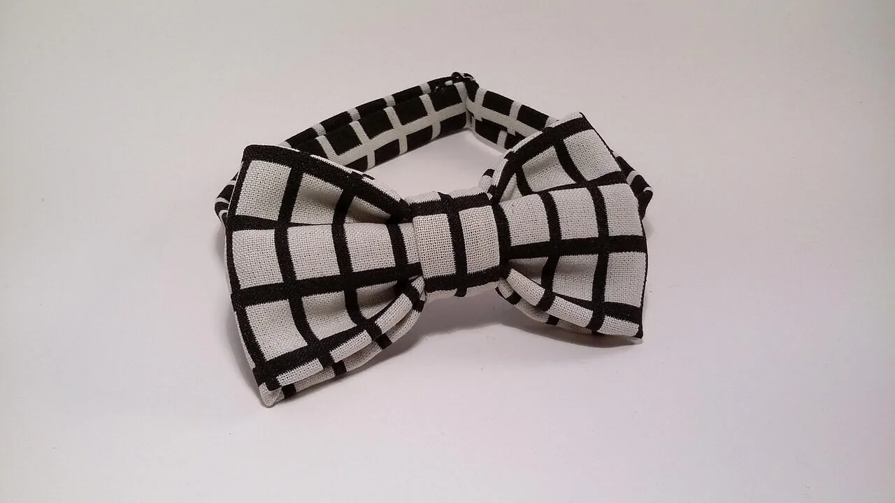 Bow Ties Worth Buying for Every Occasion and Budget