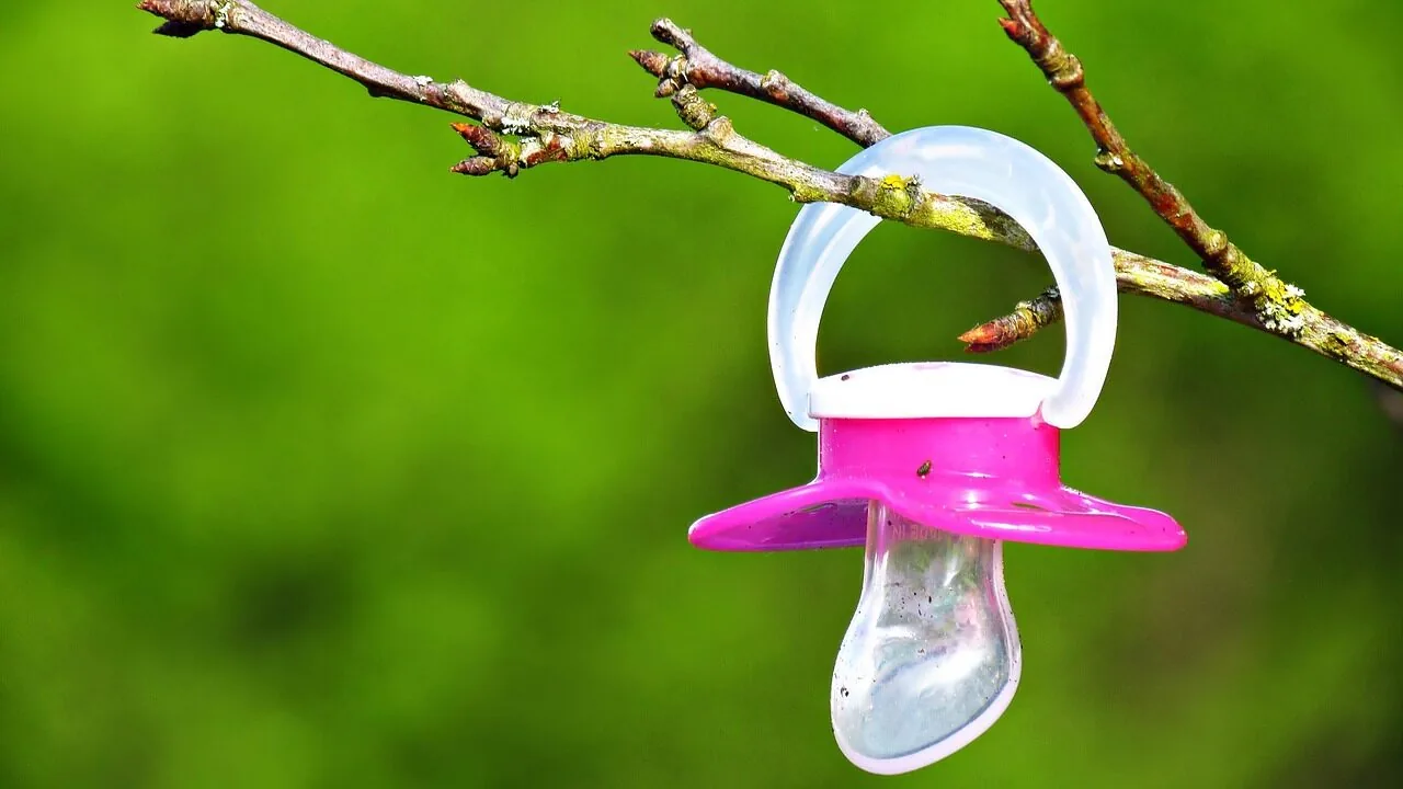 Best Pacifiers for Every Baby and Budget