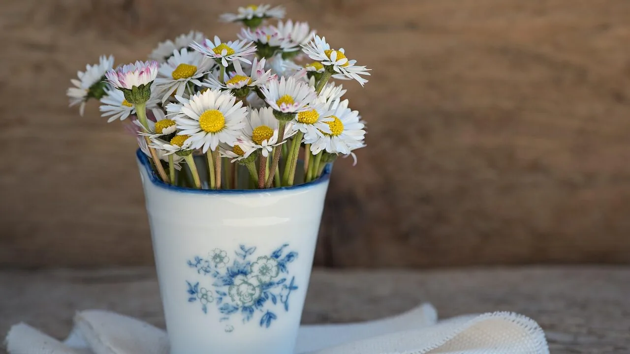 The Best Vases for Every Room and Style