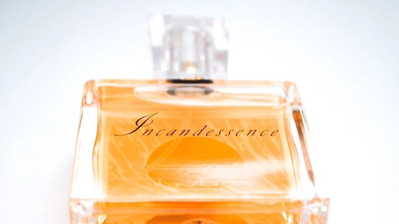 The Best Mens Colognes for Every Style and Budget