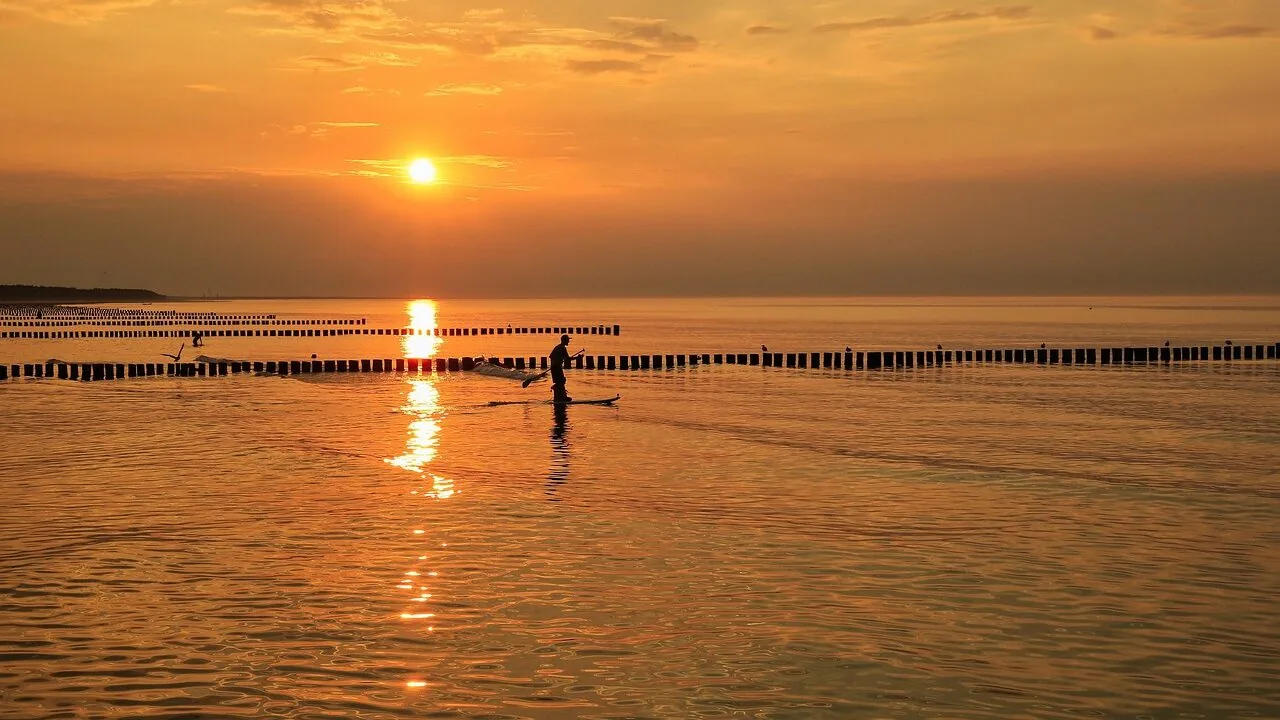 Paddle Board Paddles Worth Buying for Every Skill Level