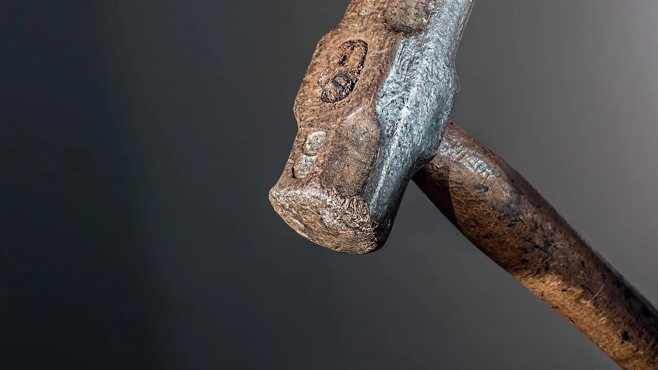 Collection of various hammers displayed showing different types and sizes of hammer tools