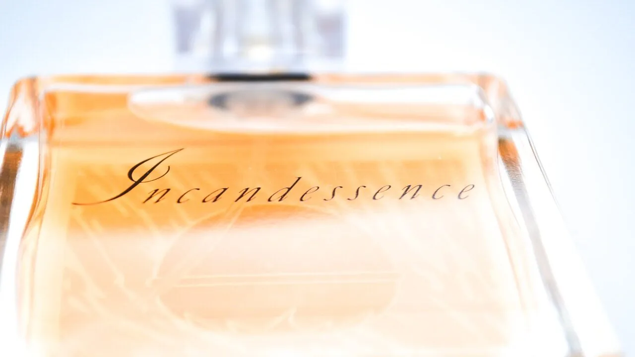 The Best Women's Perfumes for Every Style and Budget
