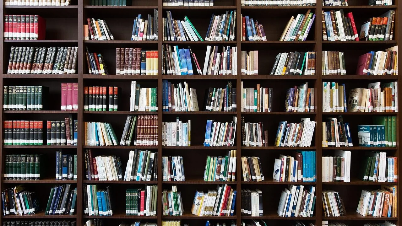 Book Storage Bins Worth Buying for Every Shelf and Space