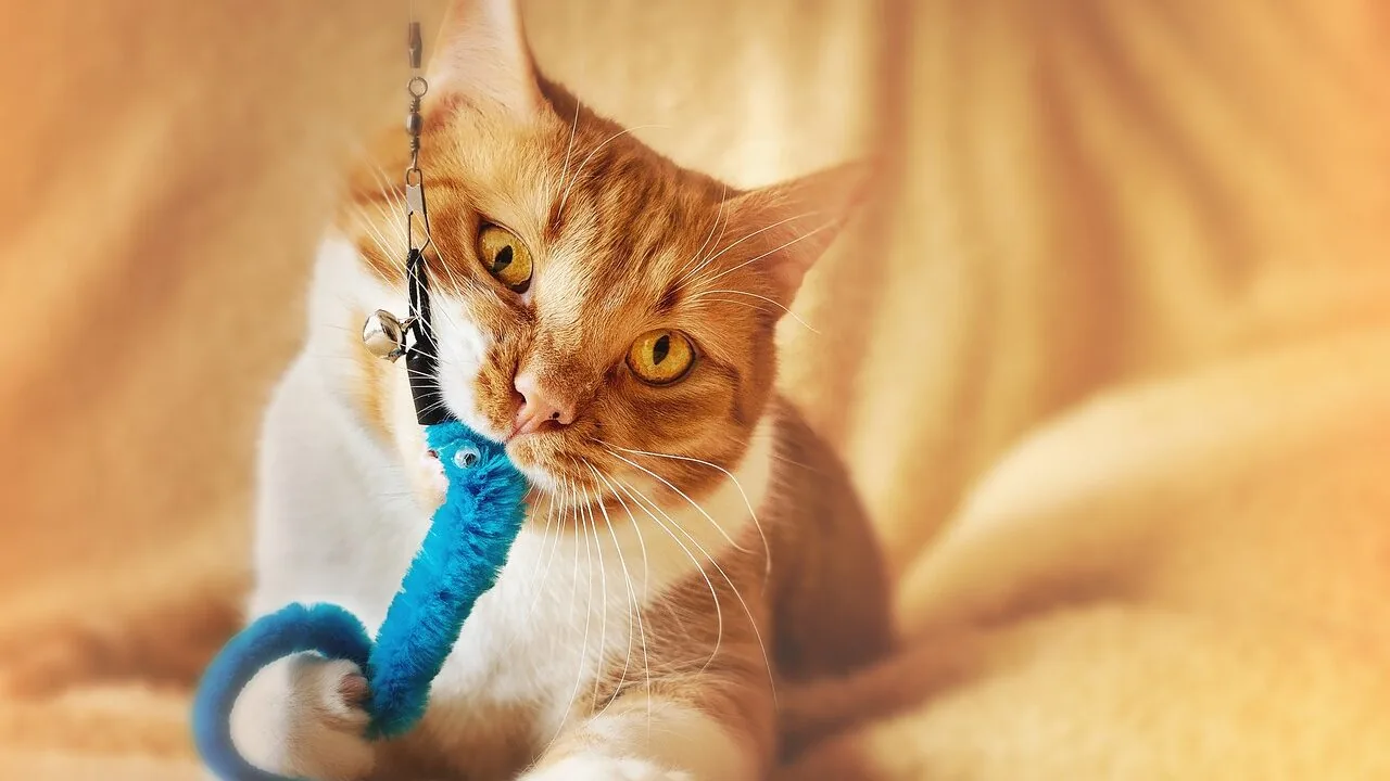 The Best Catnip Toys for Every Cat and Play Style