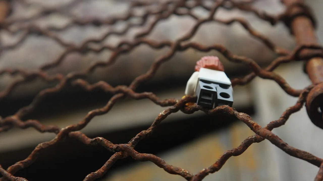 The Best Climbing Toys for Toddlers Worth Buying