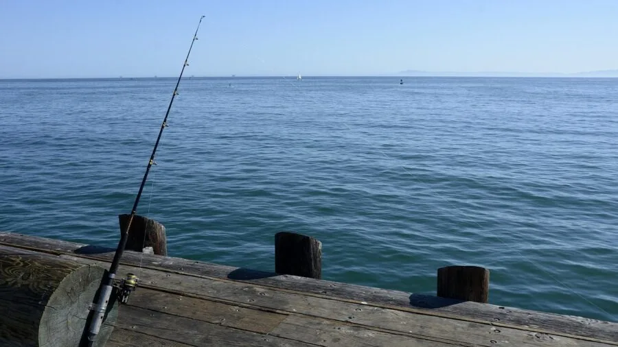 Colorful fishing lines displayed near water, showing various line colors used in fishing applications