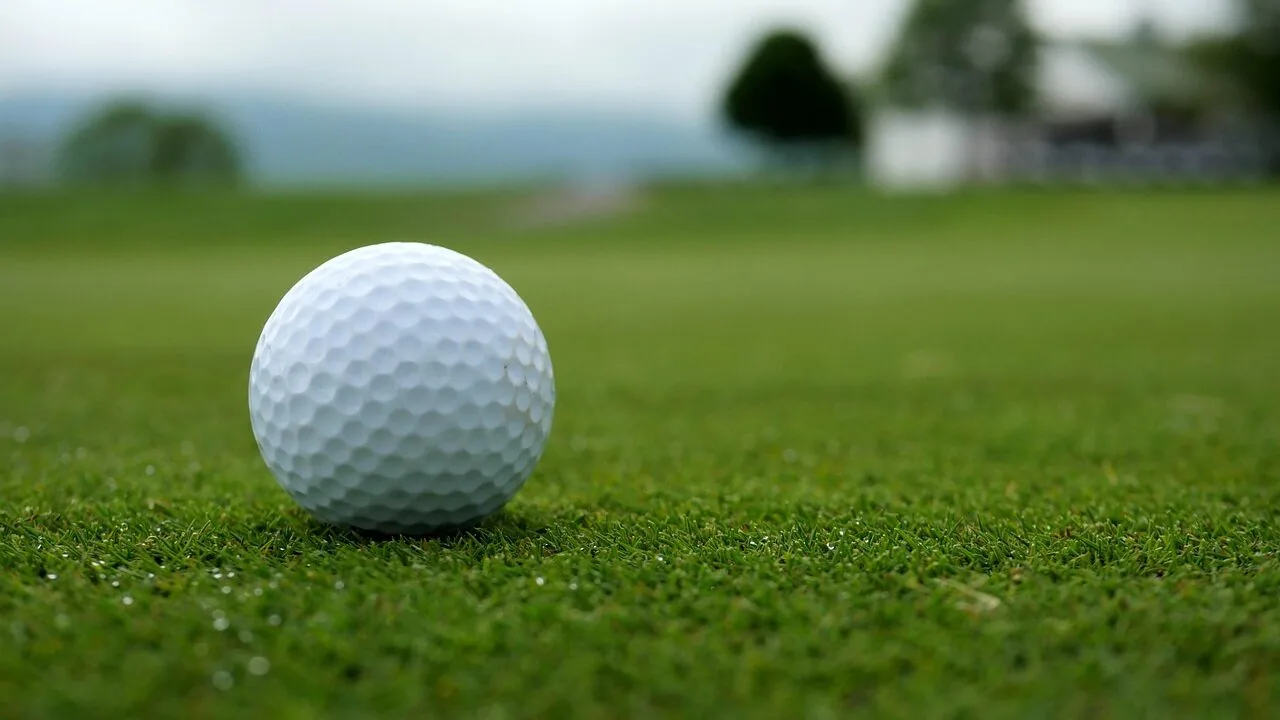 Golf Tees Worth Buying for Every Swing and Budget