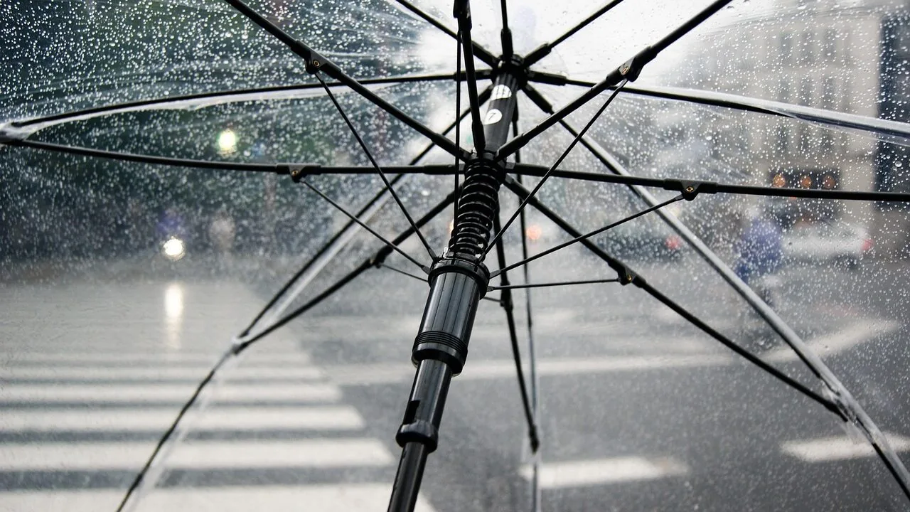 The Best Umbrella Strollers for Every Trip and Budget
