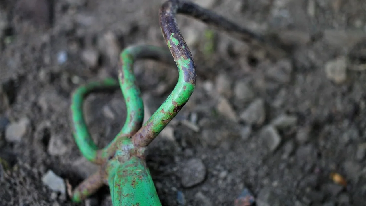 Garden Hand Tool Sets Worth Buying for Every Gardener