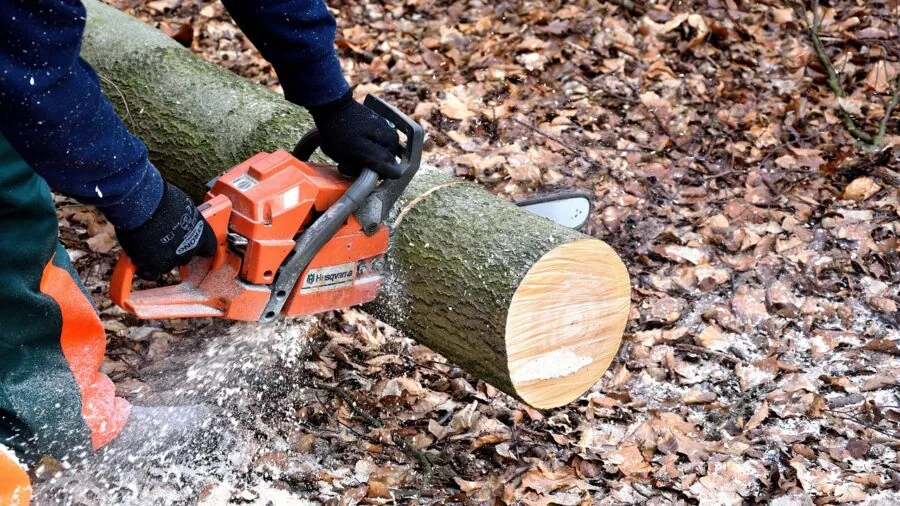 Craftsperson using power saw to cut wood in workshop with sawdust and tools