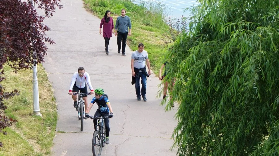 Cyclist on mountain road checking smartphone mounted on handlebars during ride