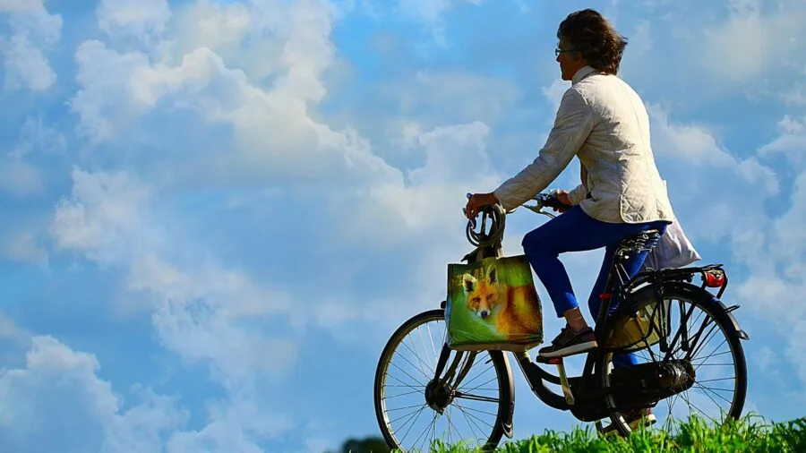 Cyclist riding on a budget road bike through a scenic route