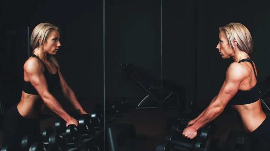 Diverse fitness equipment displayed in modern gym setting showing different training options and price points