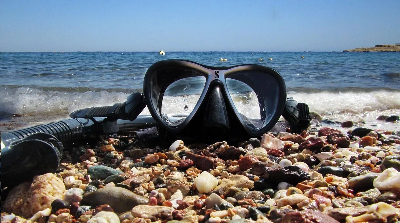 Diving Masks Worth Buying for Every Diver and Budget