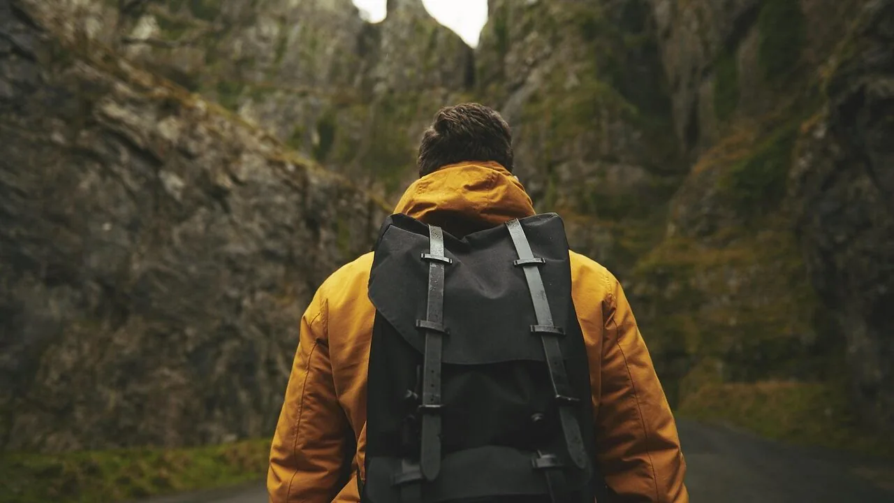 The Best Dog Backpack Carriers for Every Breed and Adventure