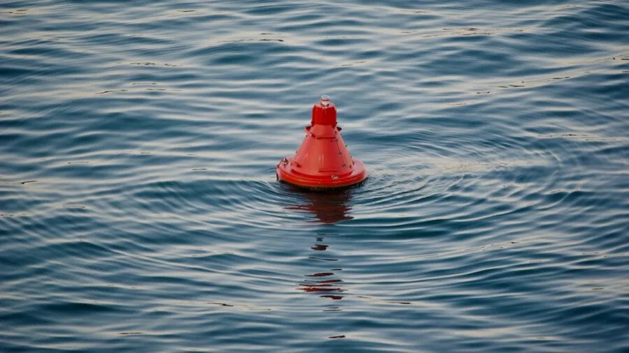 Dog being safely handled in water during swimming activity, demonstrating proper water safety techniques