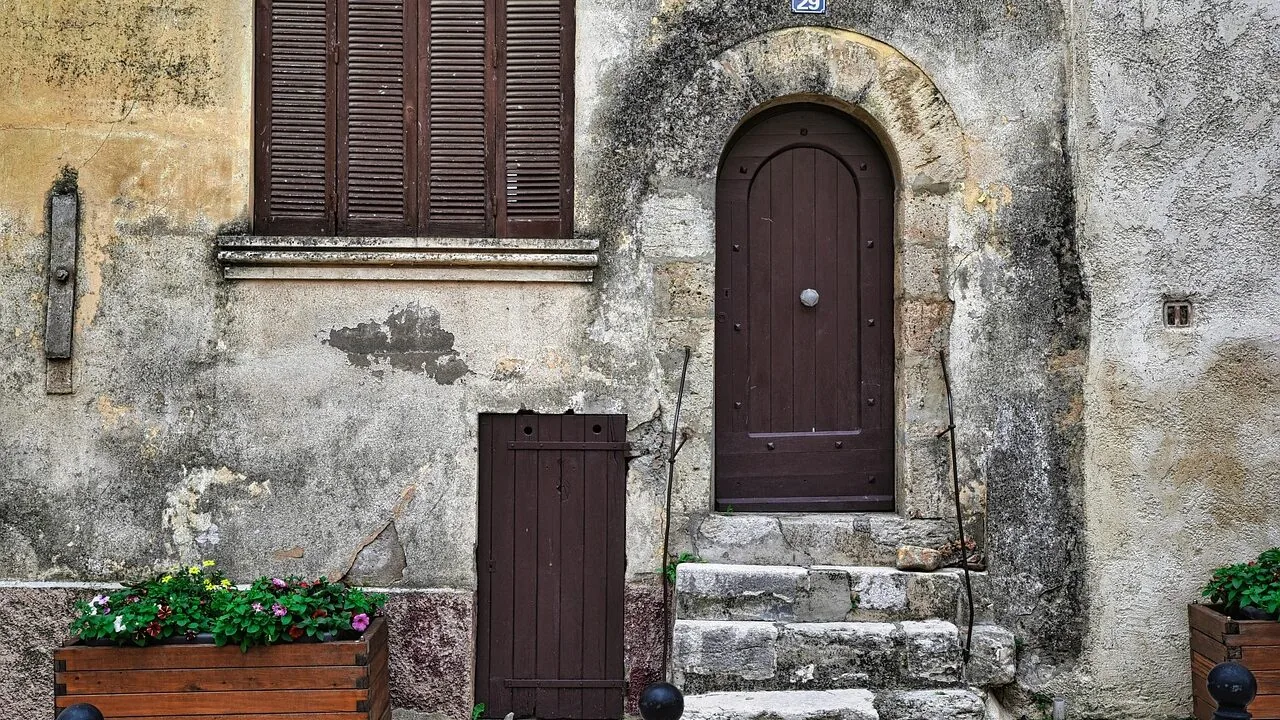 The Best Dog Doors for Every Home and Breed