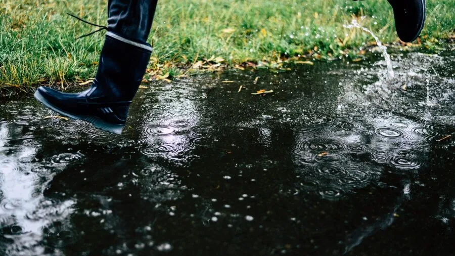 Dog enjoying outdoor play during rainy weather, demonstrating need for protective waterproof clothing