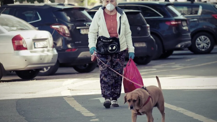 Dog in properly fitted raincoat walking comfortably on rainy path
