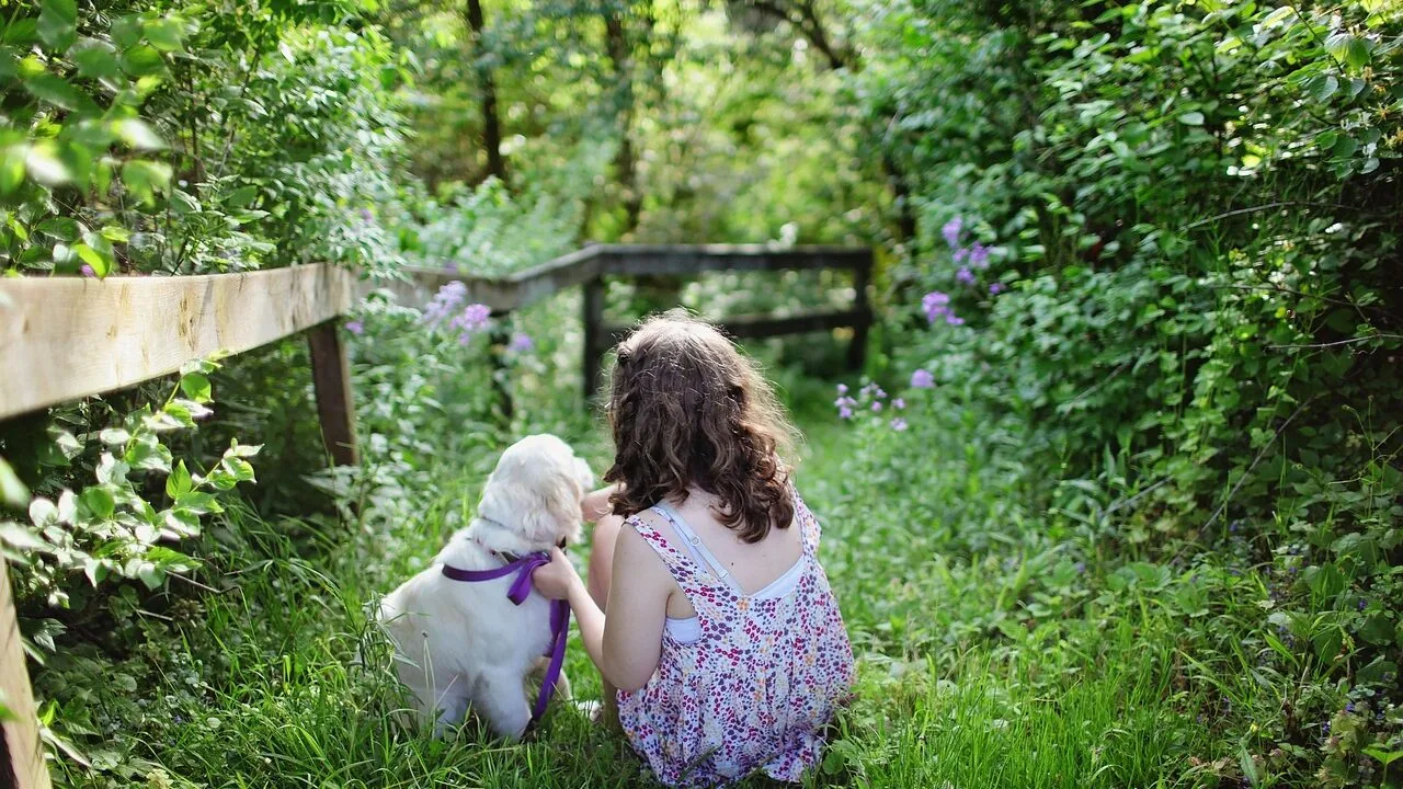 Dog kennel structure in backyard outdoor setting