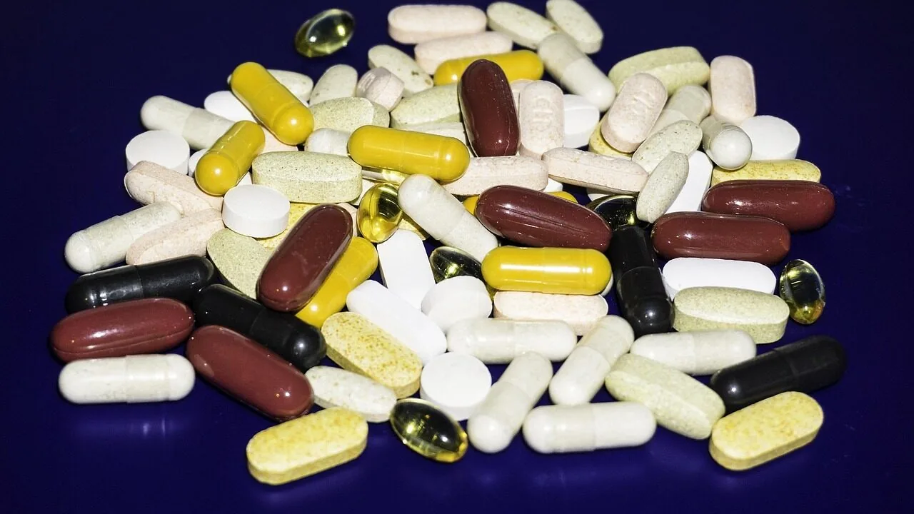 The Best Dog Multivitamins for Every Life Stage