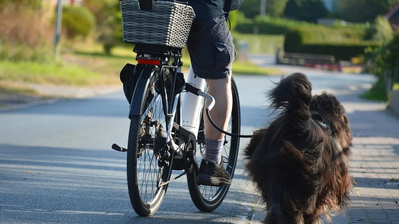 Dog Poop Bag Holders Worth Buying for Every Walk