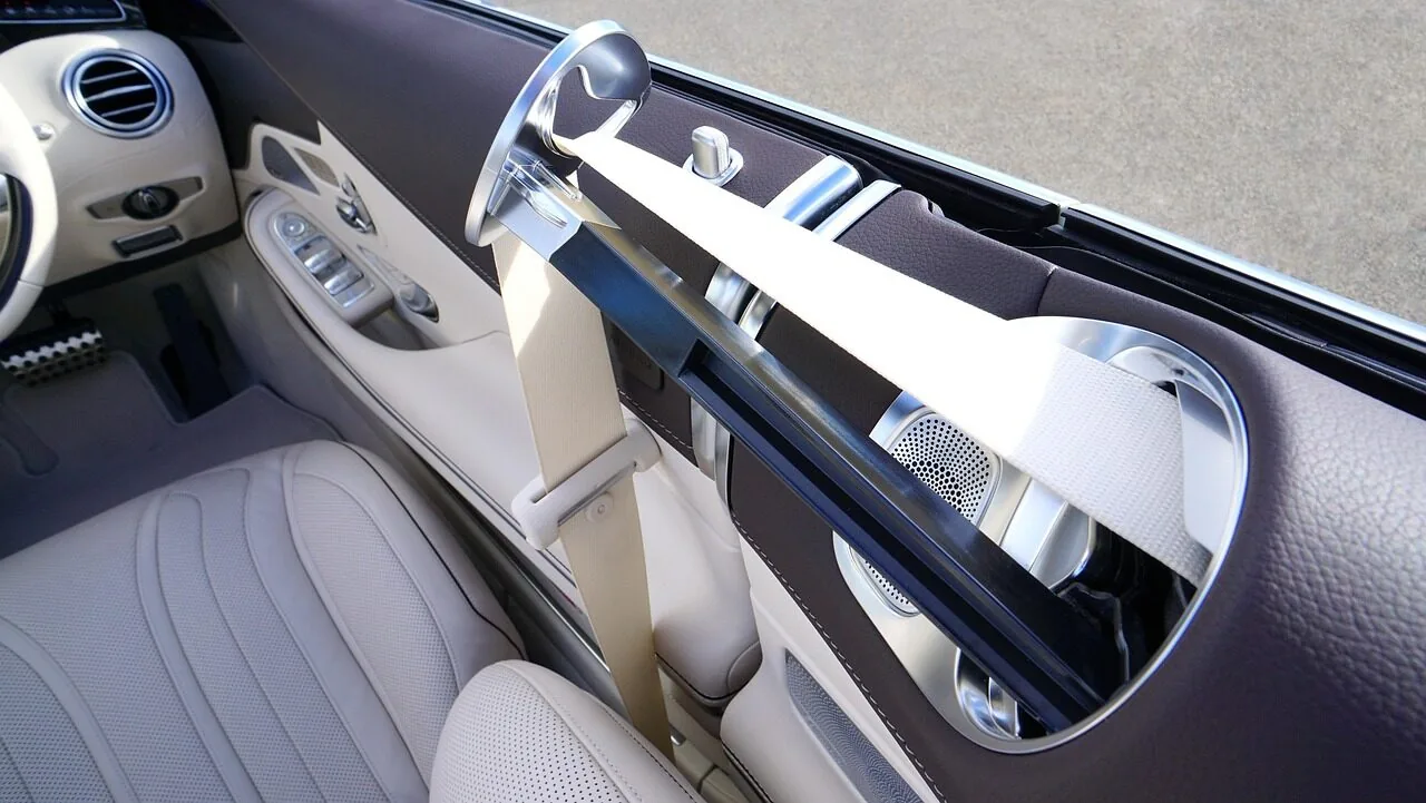 Dog Seat Belts Worth Buying for Every Car and Breed