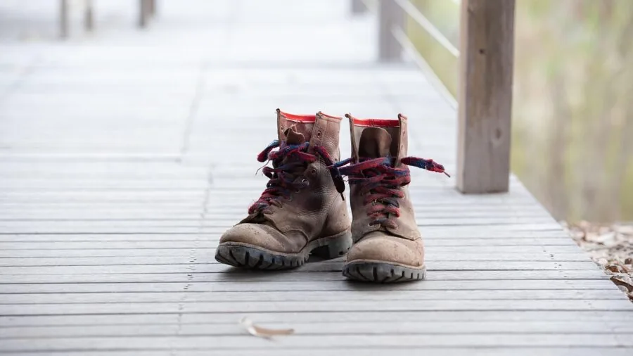 Dog wearing protective boots while walking on snowy ground outdoors