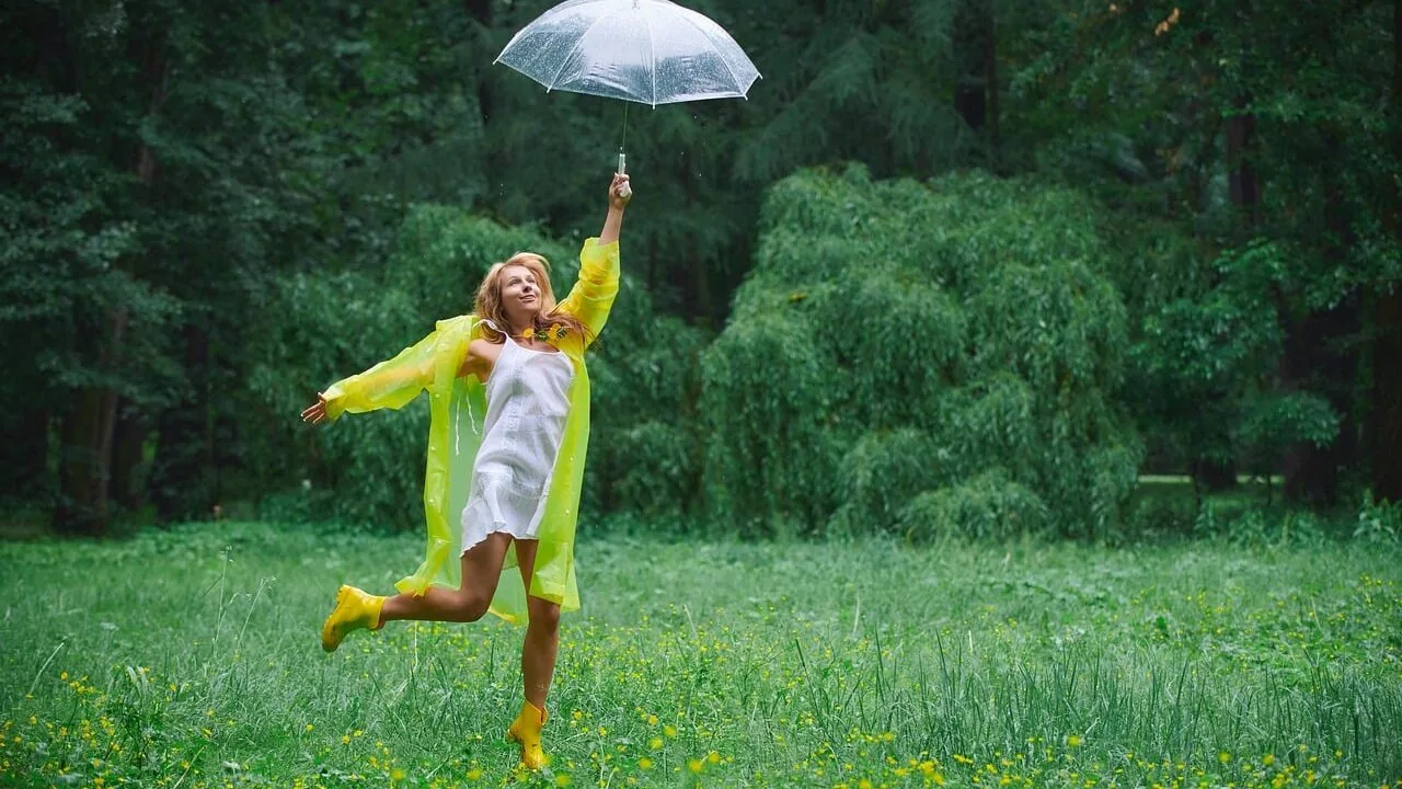 Dog Raincoats Worth Buying for Every Breed and Budget