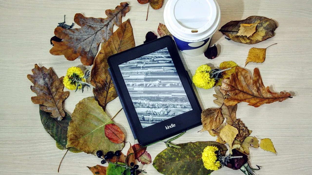 E-reader Cases Worth Buying for Every Device and Budget