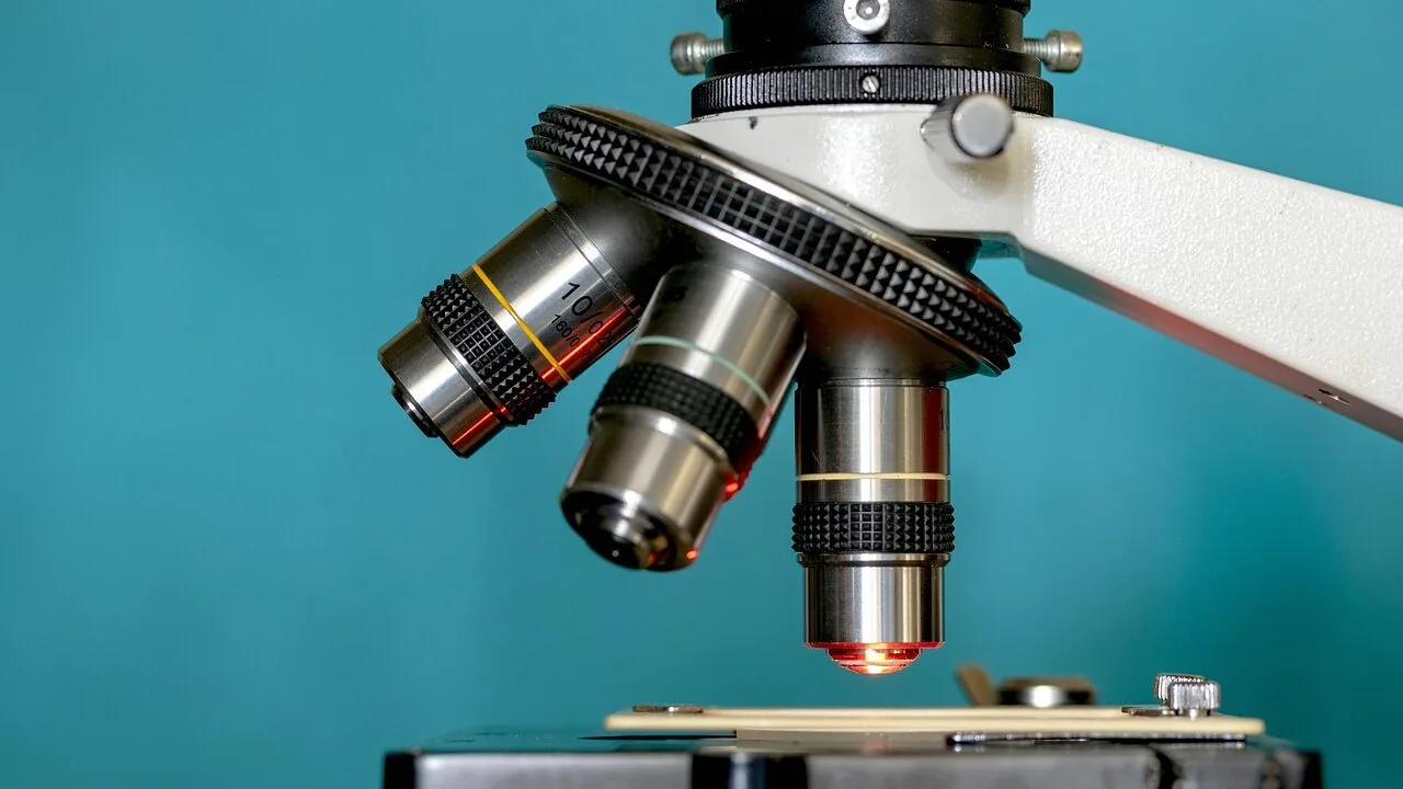 The Best Microscopes for Kids Worth Buying
