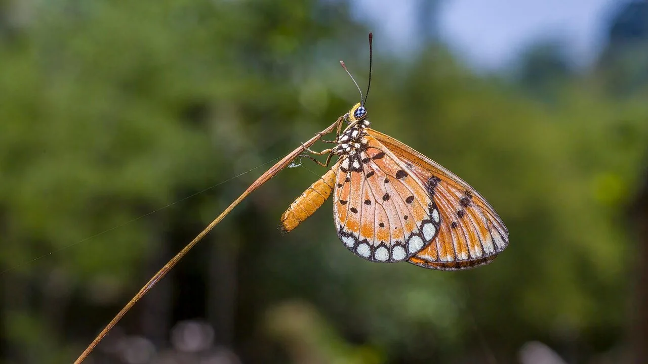 The Best Bug Zappers for Every Yard and Budget