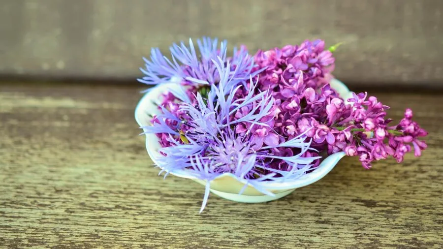 Elegant white bowl on a set dining table with natural lighting and fresh flowers