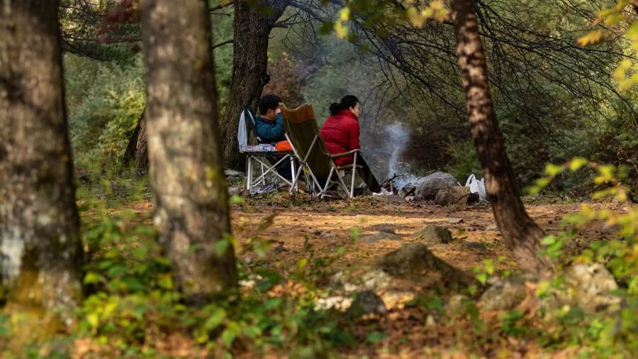 Family playing lawn games at a sunny campsite with portable equipment and natural surroundings