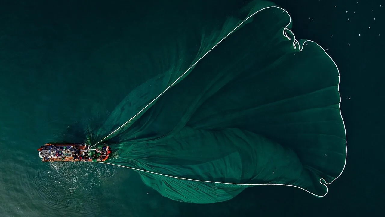 The Best Fish Finders for Every Angler and Budget