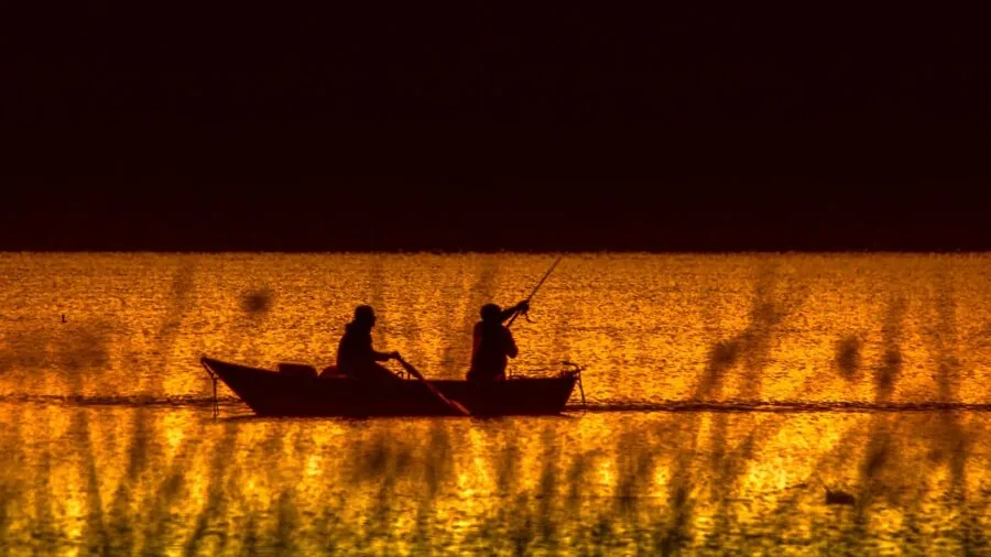 Fisherman casting line in peaceful lake surrounded by trees and natural landscape