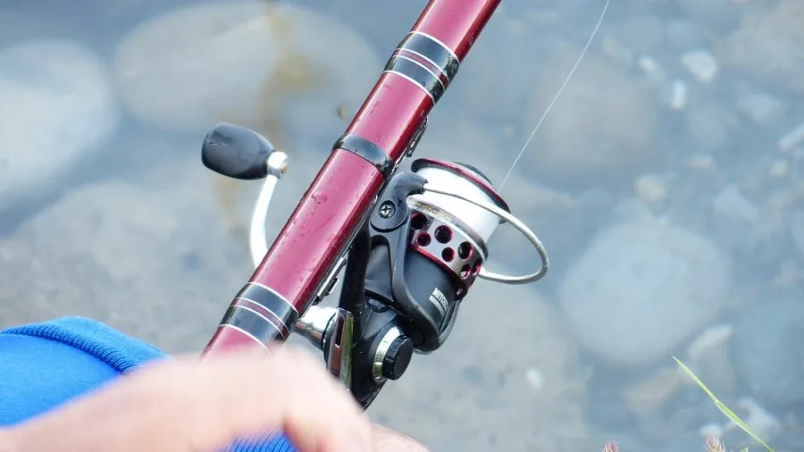 Fisherman turning fishing reel handle while fishing by water on sunny day