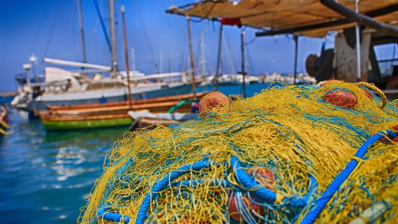 The Best Fishing Nets for Every Angler and Budget