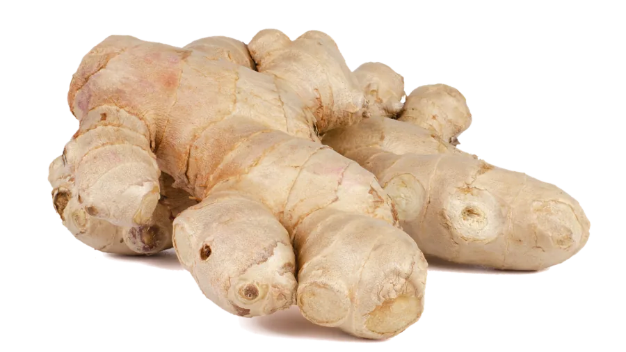 Fresh ginger root and herbs on wooden cutting board in bright kitchen setting