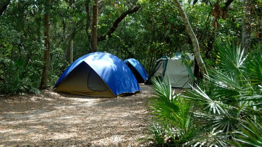 Friends enjoying outdoor camping adventure with cooler and refreshments in natural setting