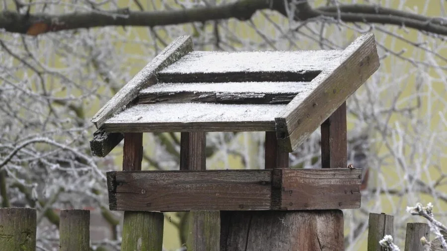 Frost-covered bird feeder hanging from snowy tree branch in winter garden