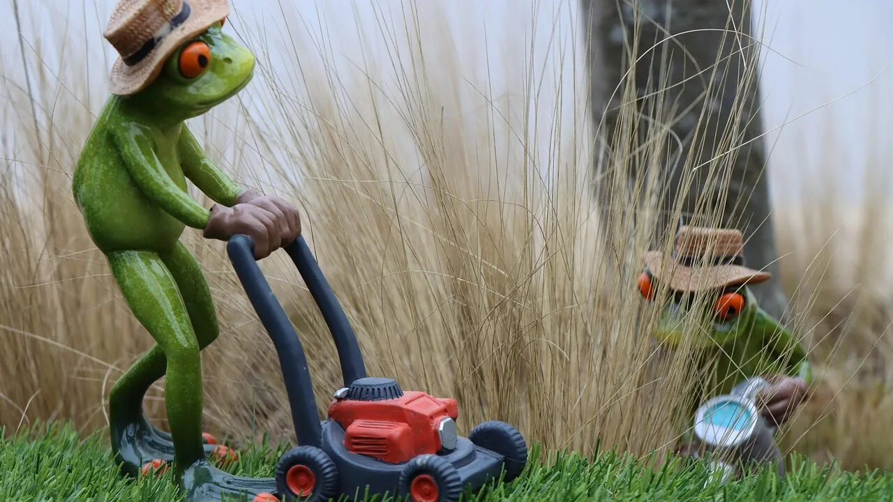 The Best Garden Hoses for Every Yard and Budget