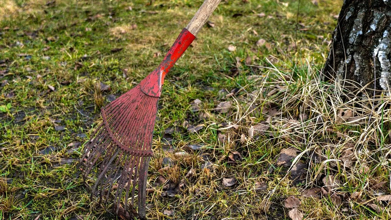 Garden Rakes Worth Buying for Every Yard and Budget
